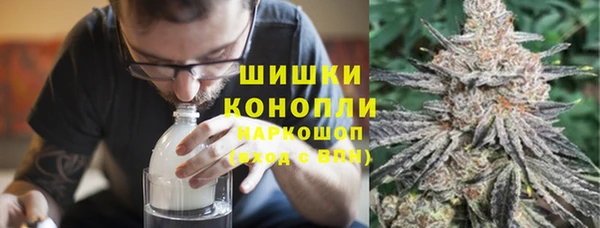 индика Баксан