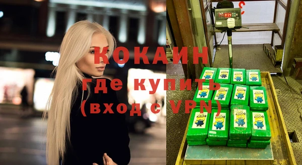 индика Баксан