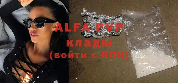 индика Баксан