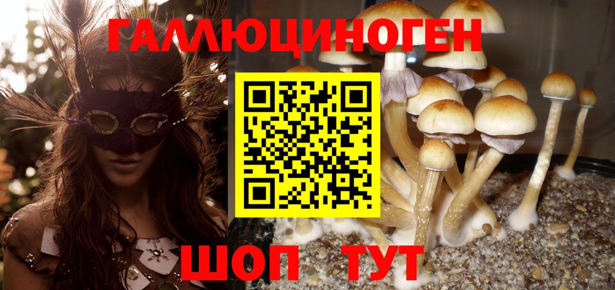 Псилоцибиновые грибы мицелий Лыткарино